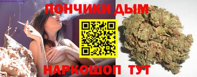 ALPHA PVP Гатчина