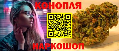 ALPHA PVP Гатчина