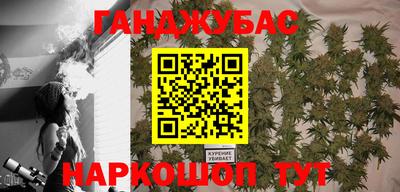 ALPHA PVP Гатчина