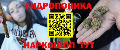 МДПВ Пушкино