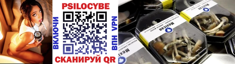 Псилоцибиновые грибы прущие грибы  hydra ссылки  Павловский Посад  купить наркотики сайты 